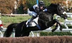 Le Bel Anjou attendu à l'arrivée de ce quinté plus à l'hippodrome d'Auteuil pour ce prix Céréaliste