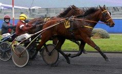 La confirmation est attendue pour Halicia Bella dans le Grand Prix Angers Loire Métropole