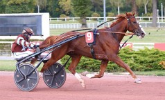 Gendréen pourrait renouer avec le succès dans le Prix Ville de Vire - Claude Foucault