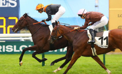 La rentrée de Tilila est attendue de pied ferme dans le Prix du Chêne