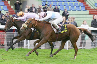 Next Round peut renouer avec la victoire dans le prix Prédicateur