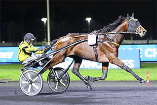 Harlem de Bucy est un candidat solide au meilleur de sa forme dans la 5ème étape du Grand National du Trot