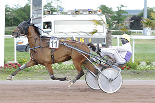 Gino Tosca va chercher sa quatrième victoire de l'année dans le Prix de Grosbois