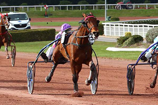 In Petto en forme dans le prix Marsik