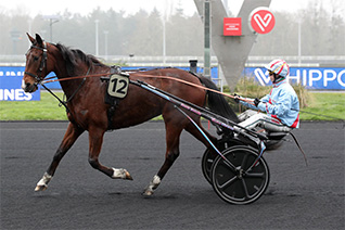 Geisha Speed pour un premier sacre en attelé dans le prix Eudora