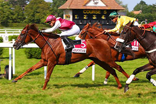 Boy Davier semble en forme pour venir chercher sa première victoire de l'année dans le prix Bellamy