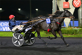 Horace du Goutier pour un troisième sacre dans le Grand National du Trot