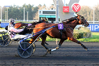 Hamandina est une candidate sérieuse au titre dans le Prix Xavier Hunault