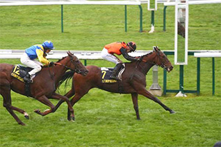 On The Edge pour une confirmation dans le Prix d'Haramont