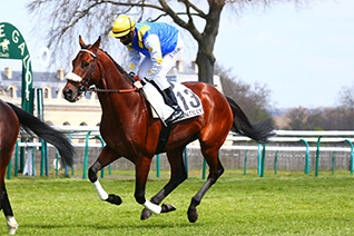 Sir George pourrait trouver ici une bonne occasion de briller dans le Prix de Barneville