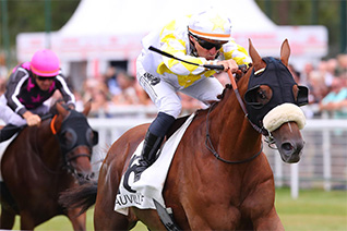 Baden Rocks pourrait trouver son jour dans le Trophée du Personnel des Courses et de l'Elevage