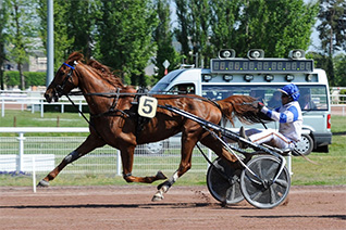 Ginko du Roussoir pour un cinquième succès consécutif dans le Prix V And B