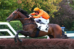 En route pour une première victoire en handicap pour Honor Royal dans le Prix Jean Bart