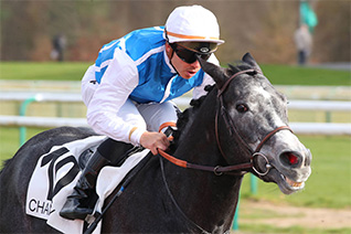 Un retour à Longchamp la hauteur de ses attentes pour MoneyMan dans le Qatar Prix Carrus