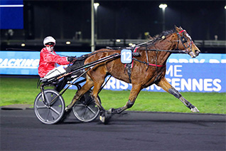 Gold Dairet pourrait renouer avec la victoire dans le Prix Bernard le Quellec