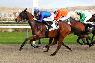 Indian Pacific peut renouer avec la victoire dans le Handicap de Marseille