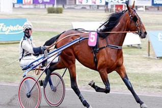 Rocky Winner devrait bien porter son nom dans le quinté plus du jour