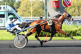 Gimmy du Pommereux peut renouver avec le succès sur la cendrée parisienne dans le Prix de Soulac