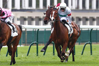 Le graal en vue pour Chiareggio pour son retour sur la PSF de Chantilly dans le Prix de la Rotonde de Minerve