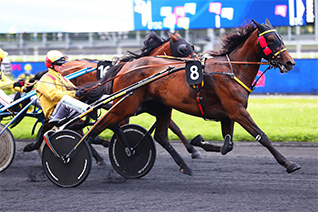 Gloire du Perche tentera de retrouver le chemin de la victoire dans le Prix de Meslay-du-Maine