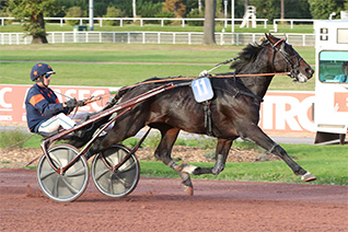 Horatius d'Ela devrait continuer sur sa lancée dans le Prix de Durtal - Les Rairies