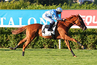 Opalus Road peut s'illustrer pour sa rentrée dans le Prix Teddy