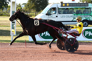 Hoche peut profiter des conditions pour renouer avec la victoire dans le Prix Roger Ledoyen