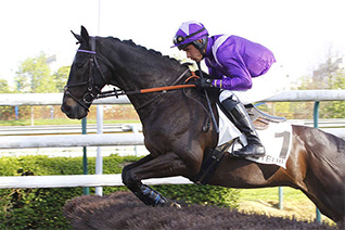 Astalavista peut confirmer sa forme du moment dans le Prix Général de Rougemont