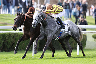 Cuncerto peut profiter de conditions avantageuses pour décrocher une victoire dans le Prix Sagaro