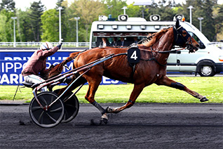 Hedic Géma va vouloir se racheter dans le Prix du Quinté+