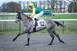 L'Ardéchoise pourrait enfin trouver son jour dans le Prix de Marly