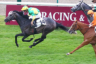 Utamaro peut trouver son jour dans le Grand Prix de Lyon Parilly