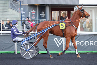 Kate Mesloise pour le rachat dans le Prix de Ribeauville