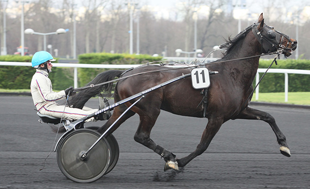 Ugo de Nieul vise le doublé dans le prix de Nevers, quinté plus du jour