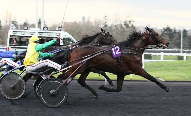 Ambrogoal des Baux vise la passe de trois dans le prix d'Orthez, quinté plus du jour