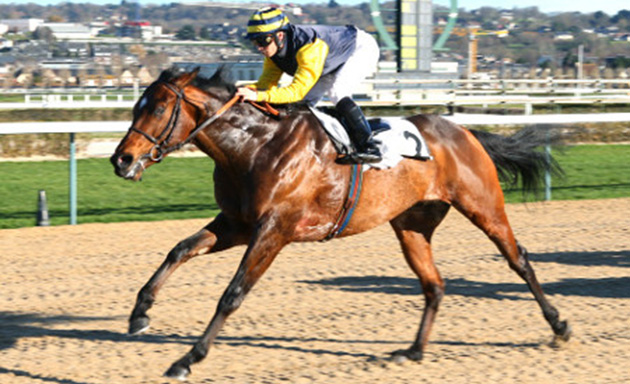 Royal Manifico peut confirmer sa forme dans le prix de Picardie