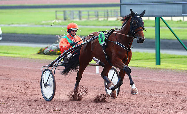 Japarov Lire se détache dans ce lot et peut l'emporter dans le prix Maginus