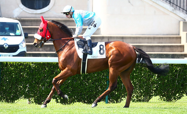 Raysteve pourrait confirmer dans le prix de la Place Morny