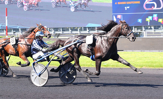 Iguski Sautonne trouve une belle occasion de s'illustrer dans la 11ème étape du Grand National du Trot