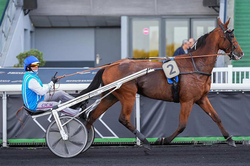 Quinté+ du 14 septembre 2026 à Beaumont de Lomagne - Pronostics du Grand Prix Jean Dumouch