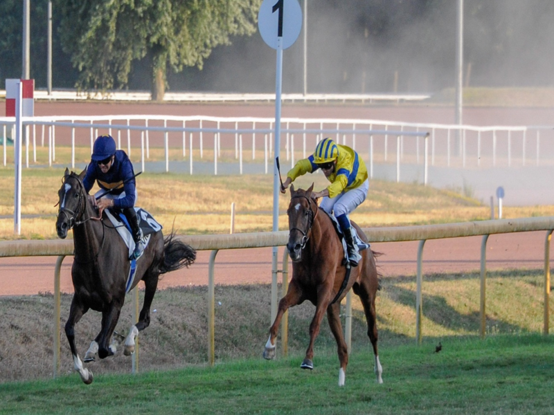 Quinté+ du 15 septembre 2026 à Compiègne - Pronostics du Prix Des Bords De L'oise