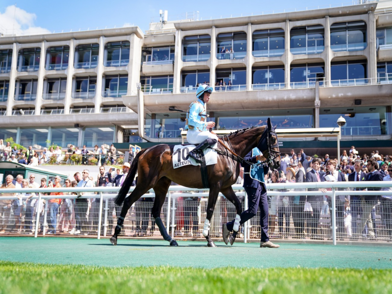 Quinté+ du 22 septembre 2026 à Auteuil - Pronostics du Prix Calabrais