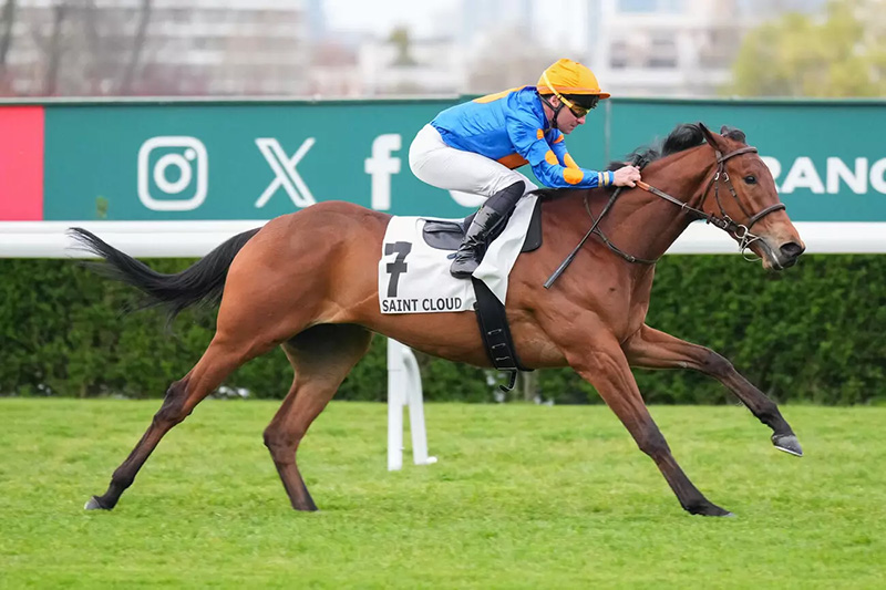 Quinté+ du Jeudi 24 Septembre 2026 à Compiegne - Pronostics du Prix De La Basse Automne