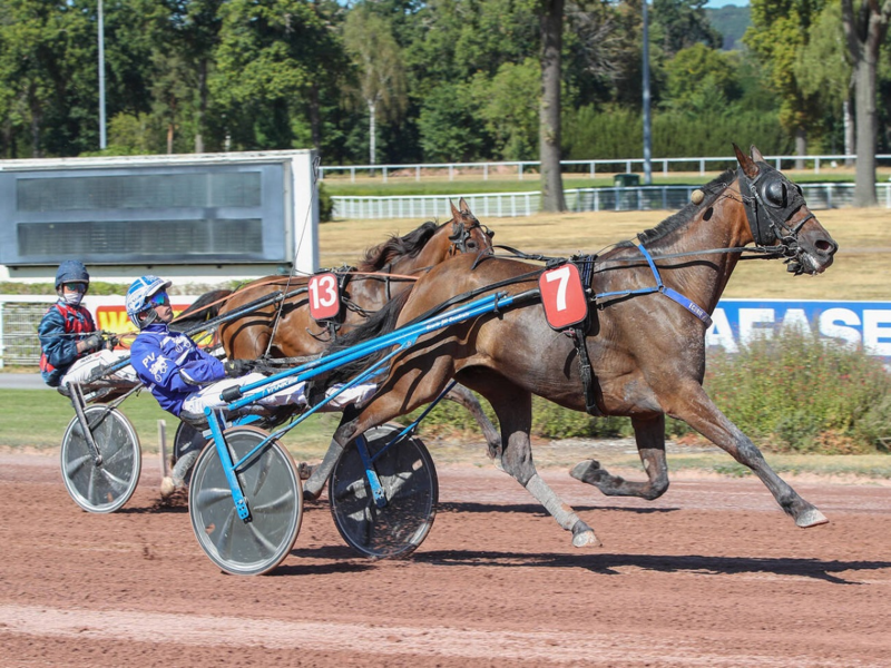 Quinté+ du 25 septembre 2026 à Paris-Vincennes - Pronostics du Prix Austria