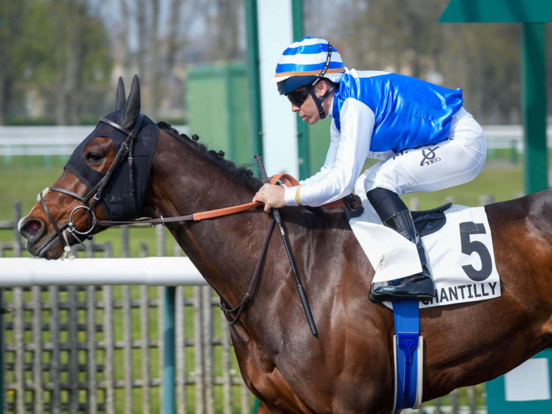 Quinté+ du 29 septembre 2026 à Chantilly - Pronostics du Prix De La Chambre Du Duc