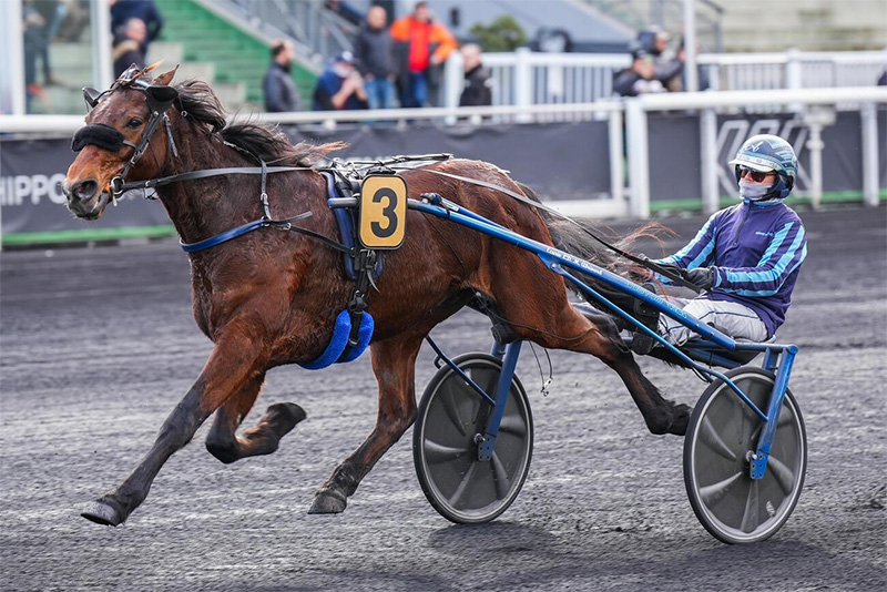 Quinté+ du 2 octobre 2026 à Paris-Vincennes - Pronostics du Prix Ludovica