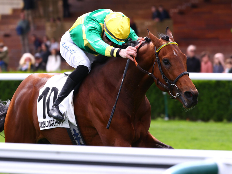 Quinté+ du Samedi 3 Octobre 2026 à Longchamp - Pronostics du Qatar Prix De La Place Des Vosges