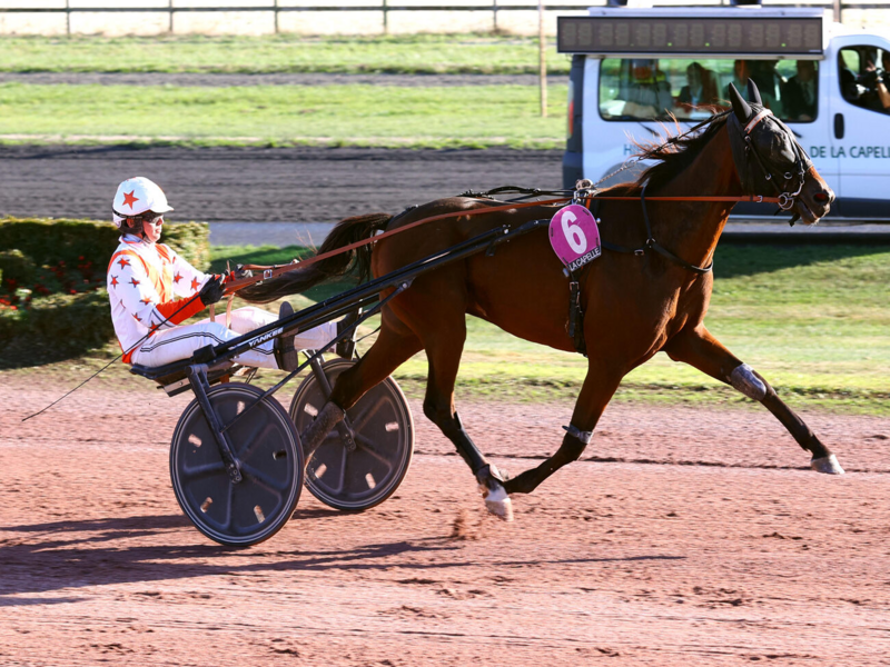 Quinté+ du 5 octobre 2026 à Enghien - Pronostics du Prix Des Buttes Chaumont