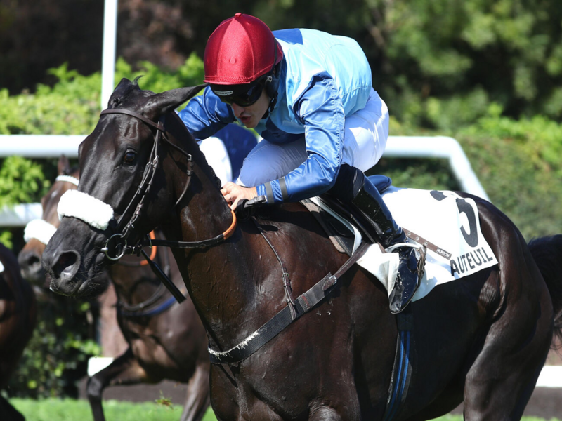 Quinté+ du 6 octobre 2026 à Auteuil - Pronostics du Prix Guillaume De Pracomtal