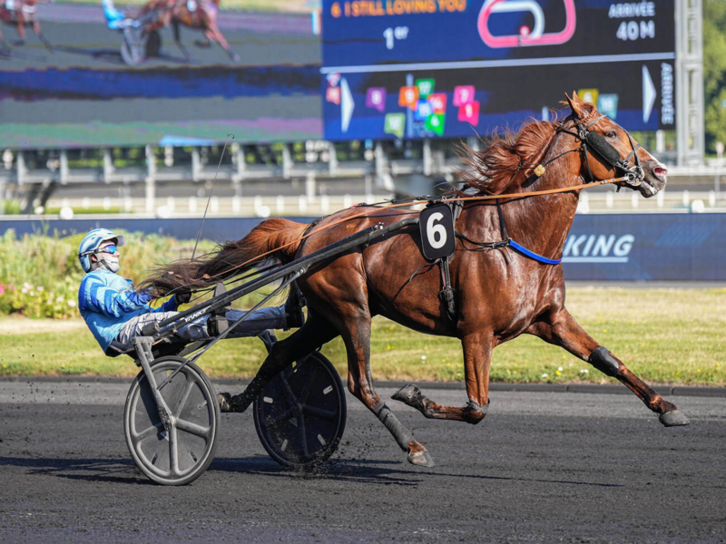 Quinté+ du 9 octobre 2026 à Paris-Vincennes - Pronostics du Prix Hera
